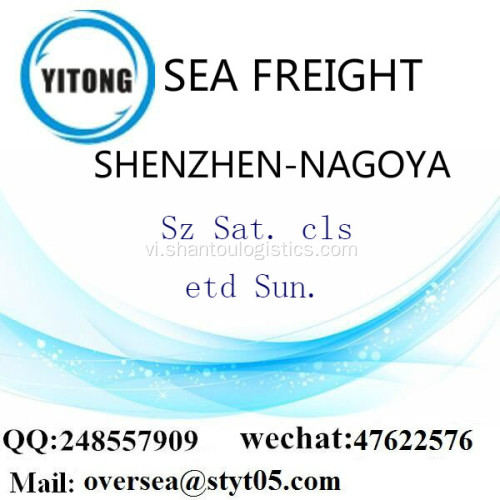 Shenzhen Port LCL củng cố để Nagoya